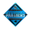 Carolina Panthers Sign Metal Diamond Shape