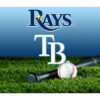 Tampa Bay Rays Pet Bowl Mat Team Color Baseball Size Large CO