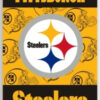 Pittsburgh Steelers Banner 28×40 House Flag Style 2 Sided CO