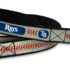 Tampa Bay Rays Reflective Baseball Leash – S