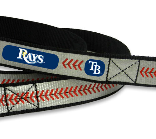 Tampa Bay Rays Reflective Baseball Leash – S