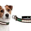 Miami Hurricanes Dog Collar – Small