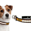 Missouri Tigers Dog Collar – Small