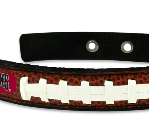 South Carolina Gamecocks Classic Leather Small Football Collar