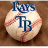 Tampa Bay Rays Pet Bowl Mat Classic Baseball Size Large