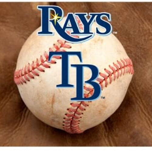 Tampa Bay Rays Pet Bowl Mat Classic Baseball Size Large