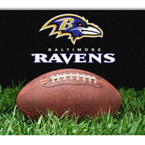 Baltimore Ravens Classic NFL Football Pet Bowl Mat – L