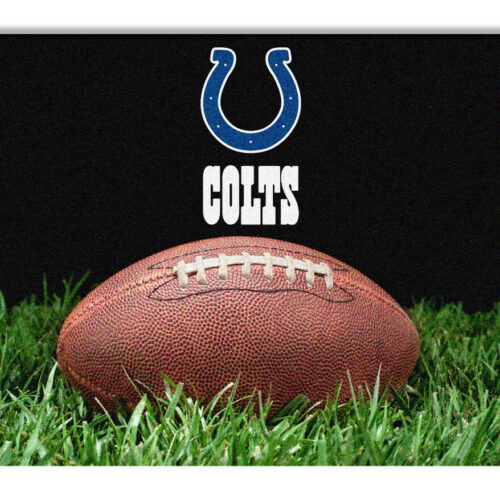 Indianapolis Colts Classic NFL Football Pet Bowl Mat – L