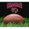 South Carolina Gamecocks Classic Football Pet Bowl Mat – L