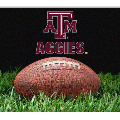 Texas A&M Aggies Classic Football Pet Bowl Mat – L