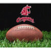 Washington State Cougars Classic  Football Pet Bowl Mat – L  CO