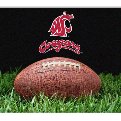 Washington State Cougars Classic  Football Pet Bowl Mat – L  CO