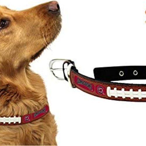 South Carolina Gamecocks Pet Collar Classic Football Leather Size Small