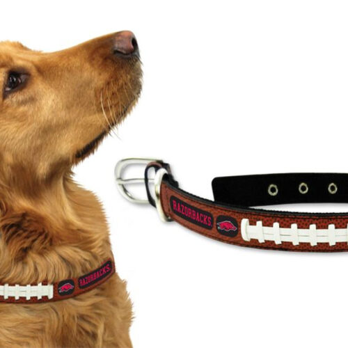 Arkansas Razorbacks Dog Collar – Medium – New UPC