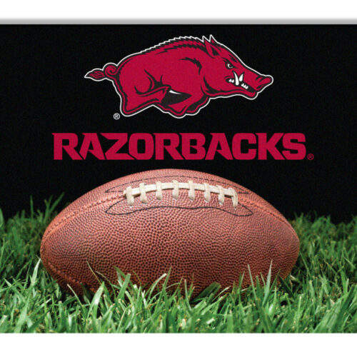 Arkansas Razorbacks Classic Football Pet Bowl Mat – L