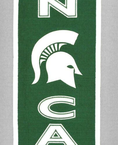 Michigan State Spartans Banner 8×32 Wool Man Cave