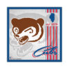 Chicago Cubs Sign Wood 10×10 Album Design