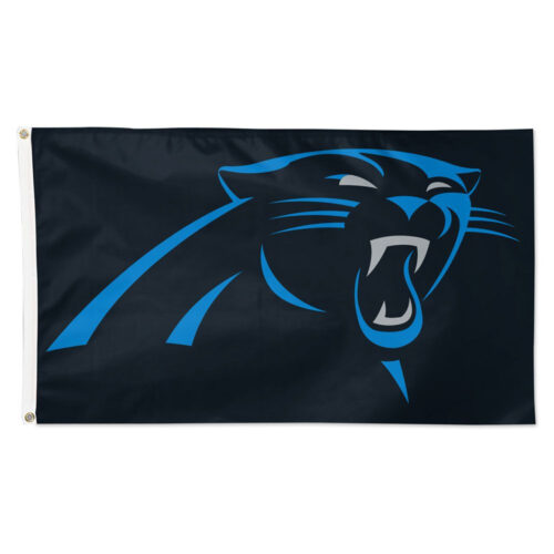 Carolina Panthers Flag 3×5 Team