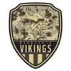 Minnesota Vikings Sign Wood 11×14 Shield Shape