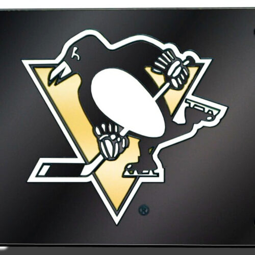 Pittsburgh Penguins License Plate Laser Cut Black – Special Order