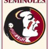 Florida State Seminoles Sign Metal Nostalgic CO