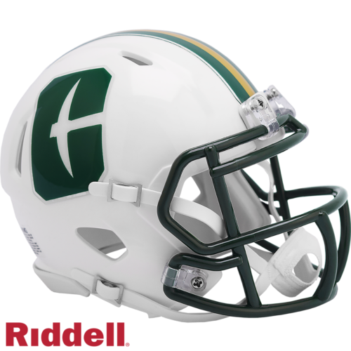 North Carolina Charlotte 49ers Helmet Riddell Replica Mini Speed Style